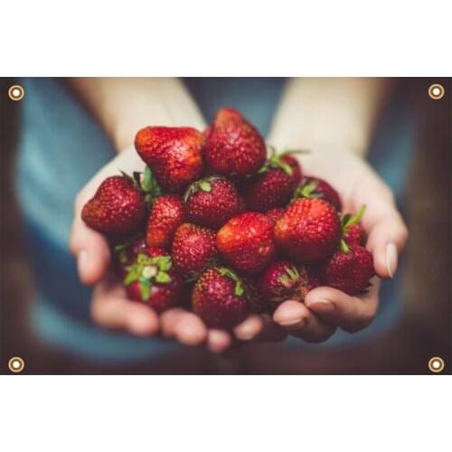 UV Resistant Outdoor Custom Digital Banner Printing for Display