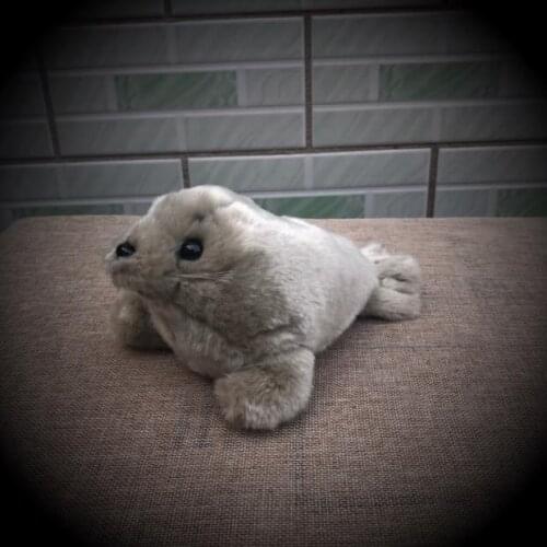 2019 Cute Soft Simulation Ringed Seals Sea Dog Plush Toy White Children Kids Boys Girls Birthday Gift 17cm PP Cotton