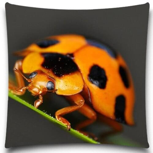 Cute Golden&black ladybug pattern cotton polyester square decorative pillow case home sofa decorative