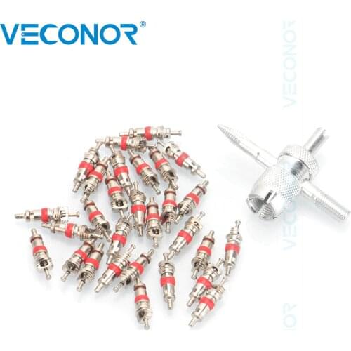 20pcs Zinc Plated Copper Valve Core with 4 in 1 Tire Valve Stem Removal Tools Kit 21 Pieces Tyre Repair Tool Set for Car Truck