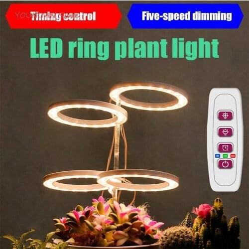 HUXUAN Plant Lamps