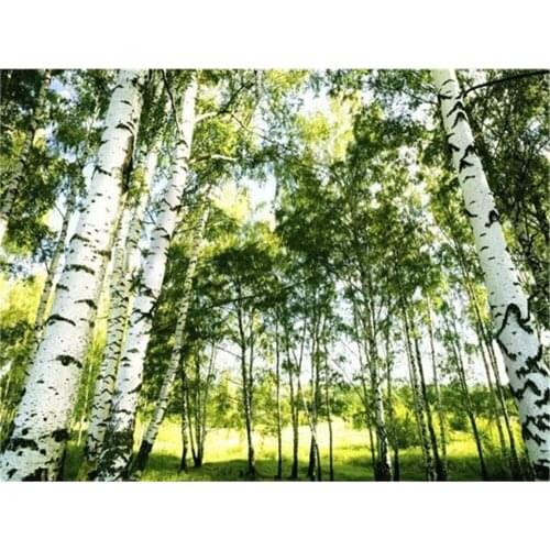 Landscape Tree DIY Cross Stitch 11CT Embroidery Kits Needlework Craft Set Cotton Thread Printed Canvas Home Dropshipping