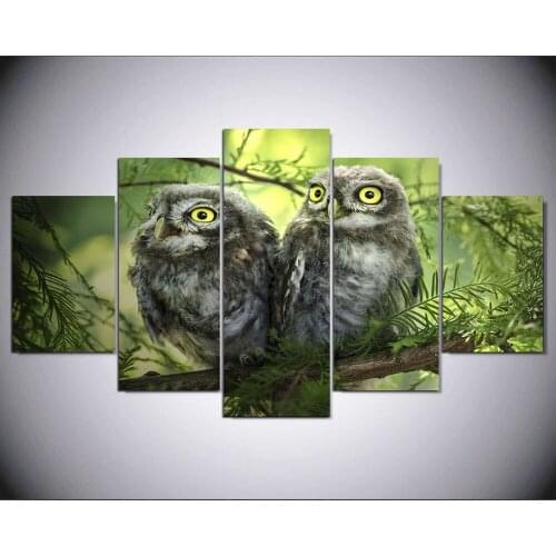 5 Pcs Wall Art Canvas Painting Pticy Sovy Priroda Animal Modular Pictures Home Decor Wall Pictures For Living Room IM-310