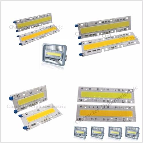 LED COB Bulb Lamp Light 30W 50W 70W 100W 150W 220V Input IP65 Smart IC Fit For DIY LED Flood Light Cold White Warm White