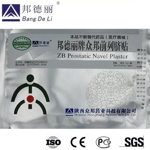 10 pcs/Lot Urogenital Infection ZB Prostatic Navel Plaster
