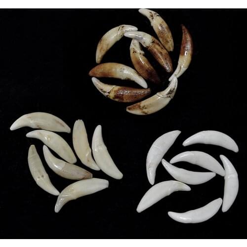YZ002White /Ecru /Brown Natural Tooth Bone Beads Pendants Diy For Jewelry Making Fashion Jewelry Accessories 20~52mm, No Hole