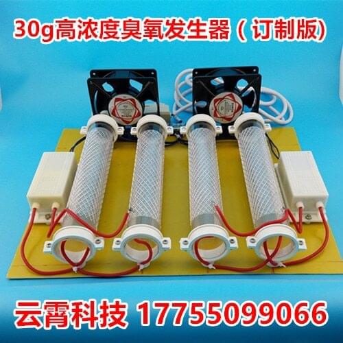 30g Tubular Ozone Generator (High Concentration) Ozone Disinfection Machine Formaldehyde Removal Peculiar Smell Air Purification