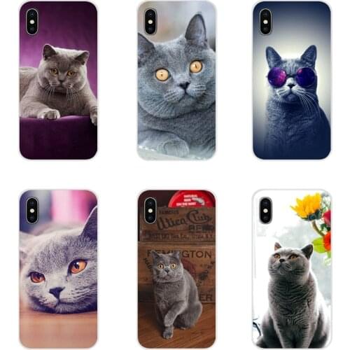 Transparent TPU Skin Cover British Shorthair cat Top Design For Xiaomi Redmi 4A S2 Note 3 3S 4 4X 5 Plus 6 7 6A Pro Pocophone F1