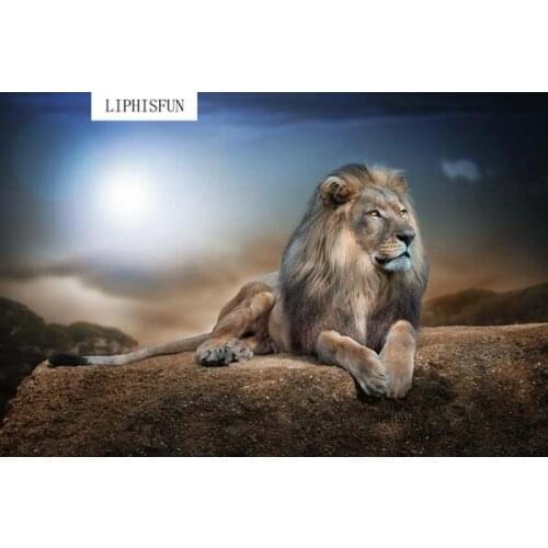 5D Full Drilled Diy Diamond Painting Handmade Animal Lion Moon Cross Stitch Resin Square Diamond Sets Diamond Embroidery