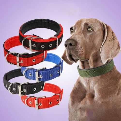 Dog Collar Collars No Pull Things For Dogs Soft Leather Pet Supplies Accessory Flexi Harnesses Leads Harness Classic Big Puppy