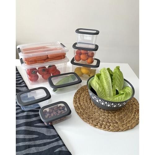 Miazze 9'lu Transparent Food Storage Container Legumes Box Set Gray