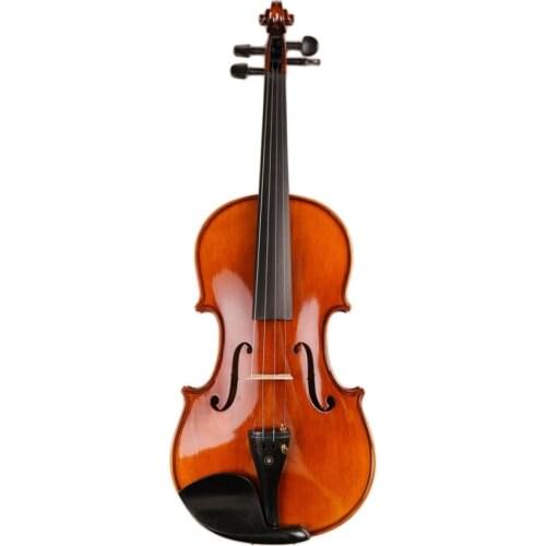 Professional violin Handcraft 4/4 Acoustic Violin Natural wood Violino With Case Mute Bow Manual oil varnish Fiddle Ebony Fitted