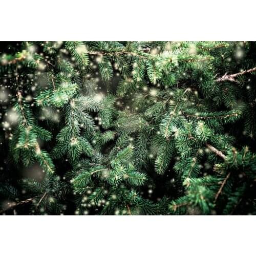 Tropical Dark Green Leaves and Lights Backdrop Holiday Photography Background Celebration Photo Booth Studio Decor