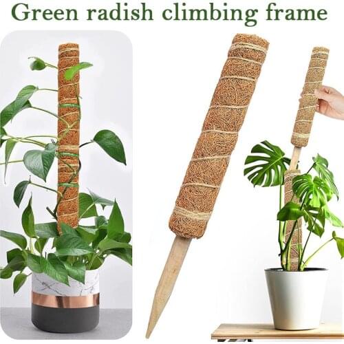 Reusable Plant Climbing Stand Durable Flower Plants Support for Balcony Garden Courtyard Easy to Use SCIE999