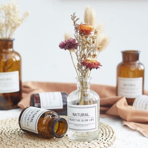 Nordic INS Glass Transparent Vase Home Decorations Living Room Dining Room Bedroom Countertop Small Vase Minimalist Decor Gift