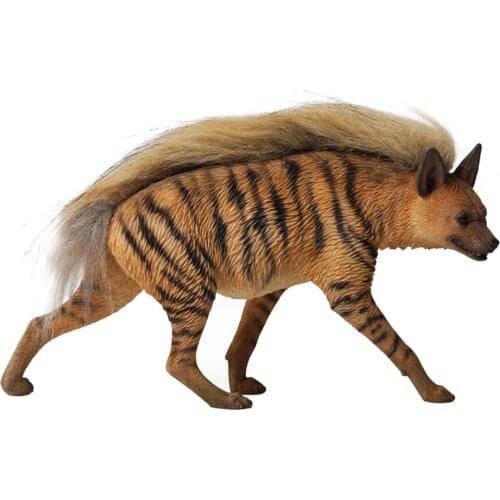 1 / 6 African striped hyena model simulation animal flocking ornament can be matched with human model