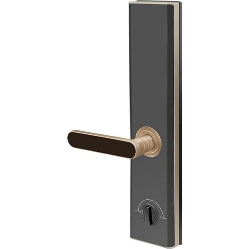 Fingerprint lock anti-theft door electronic password lock household fingerprint password swipe card lock APP dynamic password sm