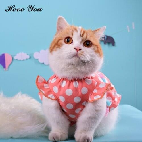 Heve You 