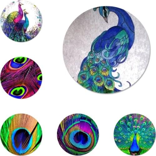 Male peacock feather Badge Brooch Pin Accessories For Clothes Backpack Decoration gift