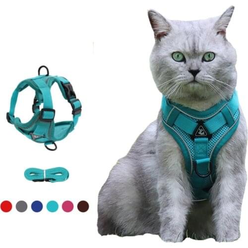 Quick Release Cat Leash Nylon Dog Harness Collar Reflective Puppy Breast Band Walking Lead Pet Collar Dog Accessories Maincoon