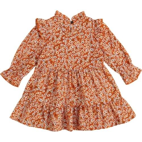 Summer Fasion Little Girls Floral Print Dress Cute Long Sleeve Ruffle Collar Loose A-Line Dress Spring Autumn Clothes