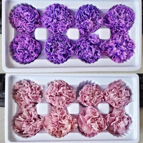 8Pcs Preserved Flower Head Carnation Decorative Dried Flower Mothers Day Gift Box Flower for Mother