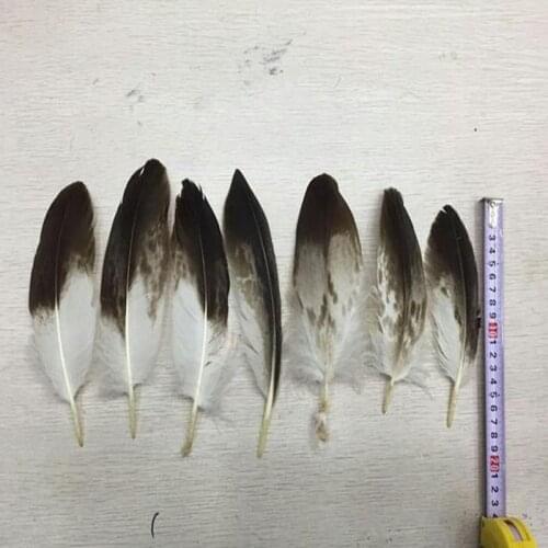 Rare and high quality small white eagle feather 10pcs 5-25cm (2-10 inches) home decoration, accessories, decoration
