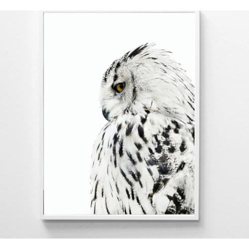 Owl Posters And Prints Wall Art Canvas Painting Wall Pictures For Living Room Nordic Owl Decoration