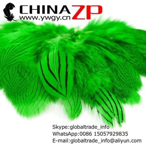 CHINAZP Factory 2000pcs/lot 8~10cm Length Best Quality Dyed Kelly Green Silver Pheasant Body Feather for Making Accessories
