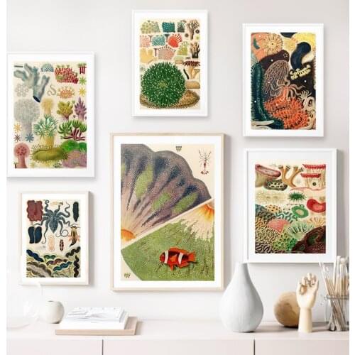 Vintage Seaweed Coral Fish Marine Animal Wall Art Canvas Painting Nordic Posters And Prints Wall Pictures For Living Room Decor