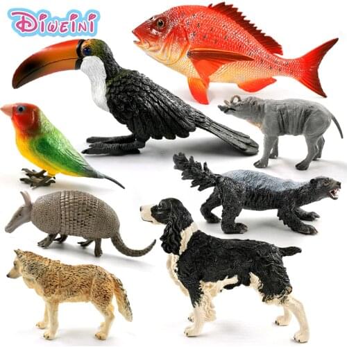 New Wolf Dog Fish Pig Armadillo Parrot Bird Toucan Honey Badger Simulation animal model action figure Educational Gift Kids toys