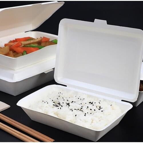 Disposable Packing Boxes Party No-Clean Case Fast Food Container Restaurant Packaging Box Takeaway Food Tray Convenient foodware