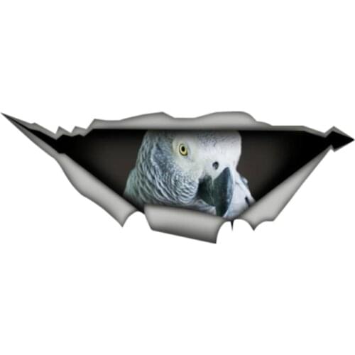 Creative Torn Metal Decal African Grey Bird Vinyl Sticker Parrot Car Stickers Window Bumper Laptop Decor Car Styling,13cm*5cm