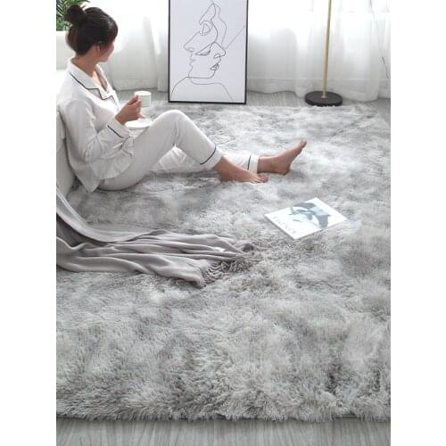 Nordic Ins Carpet Bedroom Girl Home Living Room Sofa and Tea Table Tatami Mat Bedside Blanket Room Full Bed carpet rug