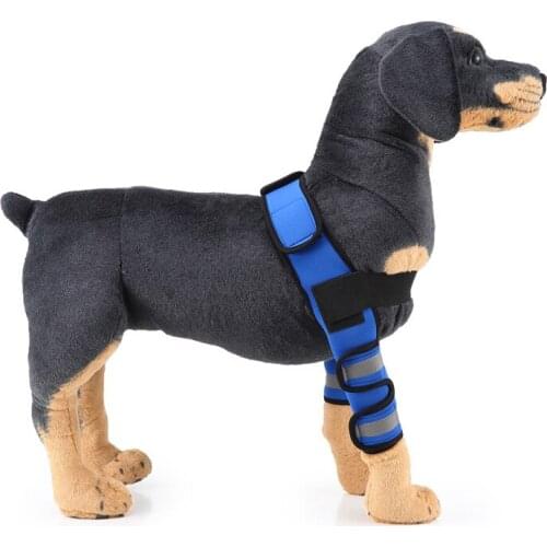 Pet Supplies Kneepads Dog Leggings Dog Legs Pet Protector Dog Surgery Injury Protective Cover Dog Protector Support Dropship