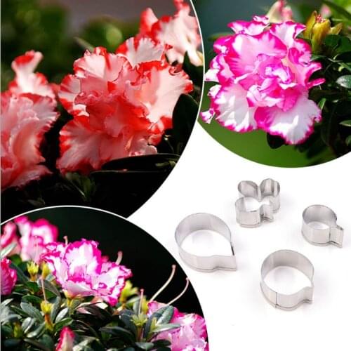 Rhododendron 4Pcs Stainless Stell Cookie Cutter Pastry & Biscuit Baking Cutter Cake Decorating Tools Cupcake Mold Fondant Tools
