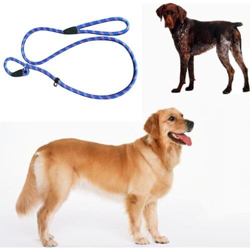 Pet Chain Millan Dog Leash Shoresu Whisperer Slip Training Correction Lead