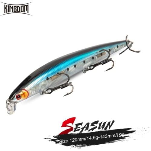 Kingdom Fishing Lure 12cm/14.5g 14.3cm/19g Floating Minnow Saltwater Hard Bait Fishing Tackle VMC Hooks Artificial Wobbler Baits