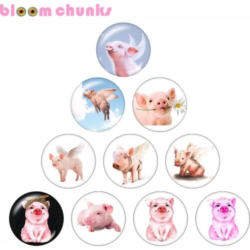 Lovely Pig wings 10pcs mixed 12mm/18mm/20mm/25mm Round photo glass cabochon demo flat back Making findings C21638