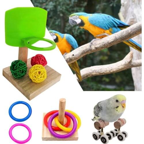 3Pcs/Set Parrot Bird Pet Basketball Hoop Pulley Chew Training Puzzle Ring Interactive Toy Set