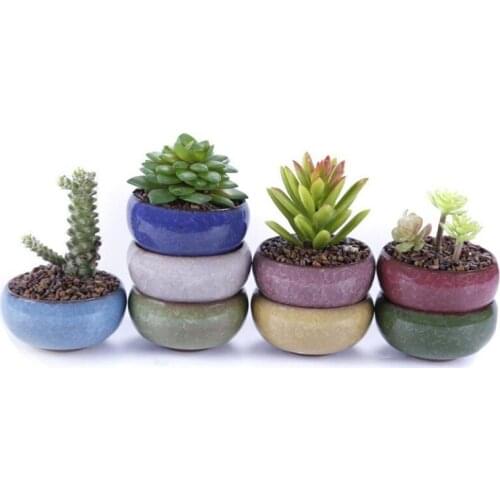 Mini Thumb Flower Pot Creative Desktop Ornaments Pots Ice Crack Porcelain Flowerpot Fleshiness Plant Pot for Plant Home Garden