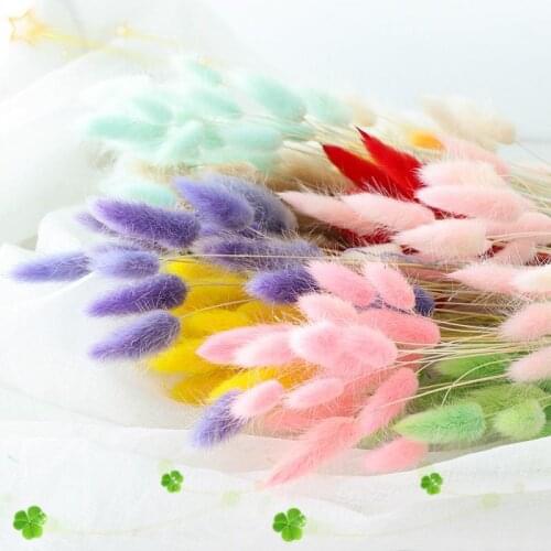 10PCS Rabbit Tail Grass Dried Flowers Plant Material Dried Flower Bouquet Pastoral Style Home Supplies Artificial flower