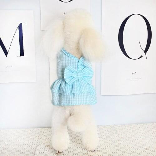 Dog Dress2021 Spring and Summer Thin Breathable Puppy Bow Princess Skirt Bichon Small Dog Pet Two-legged Clothes