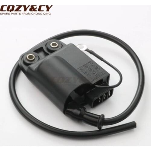 CDI / ignition coil for Gilera 50 Easy Moving Ice Stalker Storm Typhoon X 50cc AC Runner 50cc LC