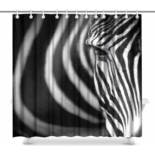 Aplysia Face of Grevys Zebra Fabric Bathroom Shower Curtain Set 72 x 72 Inches