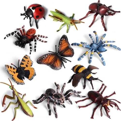 Monssjay Insect Figures