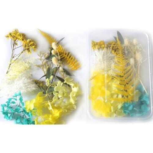 1 Box Real Mix Dried Flowers for Resin Jewellery Dry Plants Pressed Flower P31B