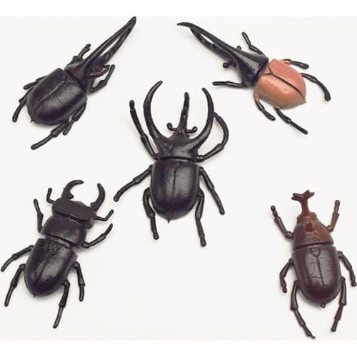 10pcs/lot 5.5cm simulation beetle Toys Special Lifelike Model Simulation insect Toy nursery teaching aids joke toys