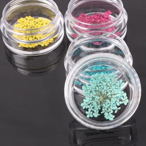 Mini Storage Container Clear Plastic Empty Jars Cream Box Spice Slime Jars Makeup Organizer Sample Bottle Dried Flower Dispenser