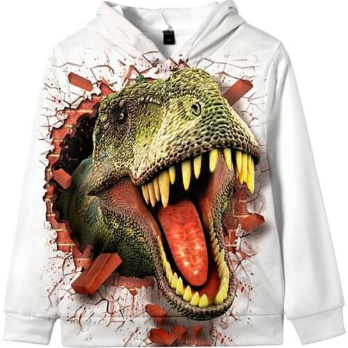 Fashion Print Dinosaur Tyrannosaurus Cartoon 3d Hoodies Pullover Men Women Hoodie Tops Long Sleeve Boys Girls Hooded Sweatshirts